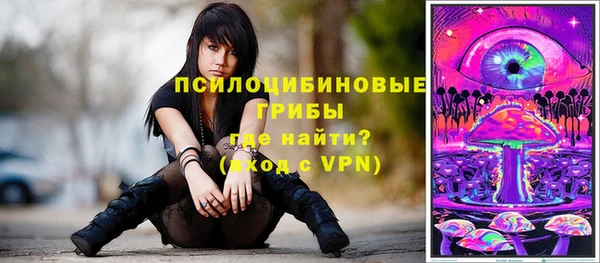 первитин Володарск