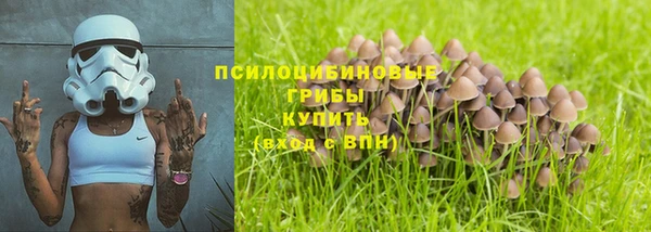 первитин Володарск