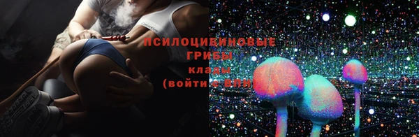 СК Волосово
