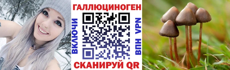 Псилоцибиновые грибы мухоморы наркотики кракен Заинск